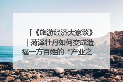 《旅游经济大家谈》｜菏泽牡丹如何变成造福一方百姓的“产业之花”“富民之花”？