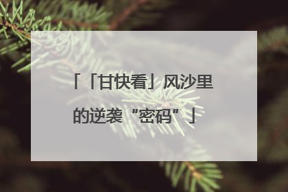 「甘快看」风沙里的逆袭“密码”
