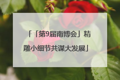 「第9届南博会」精雕小细节共谋大发展