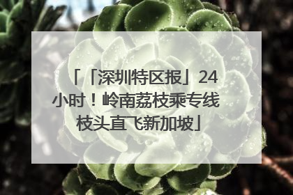 「深圳特区报」24小时！岭南荔枝乘专线 枝头直飞新加坡