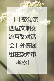 「聚焦第四届文明交流互鉴对话会」外宾团组在敦煌市考察