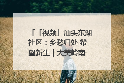 「视频」汕头东湖社区：乡愁归处 希望新生｜大美岭南·百村焕新记