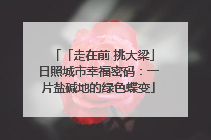 「走在前 挑大梁」日照城市幸福密码：一片盐碱地的绿色蝶变