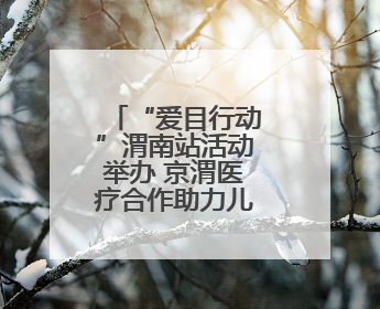 “爱目行动”渭南站活动举办 京渭医疗合作助力儿童视力保护
