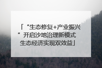 “生态修复+产业振兴”开启沙地治理新模式 生态经济实现双效益