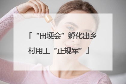 “田埂会”孵化出乡村用工“正规军”