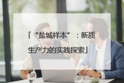 “盐城样本”：新质生产力的实践探索
