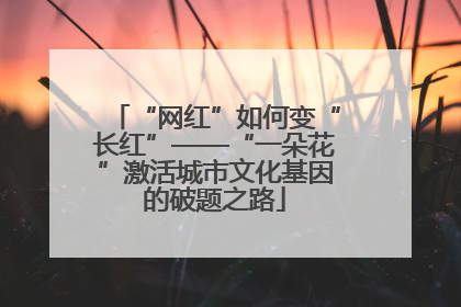 “网红”如何变“长红”——“一朵花”激活城市文化基因的破题之路