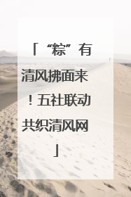 “粽”有清风拂面来！五社联动共织清风网