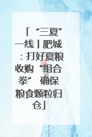 “三夏”一线丨肥城：打好夏粮收购“组合拳” 确保粮食颗粒归仓