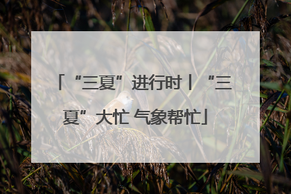 “三夏”进行时丨“三夏”大忙 气象帮忙