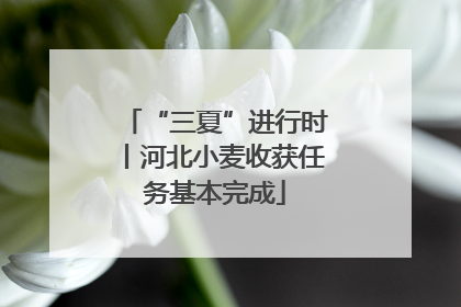 “三夏”进行时丨河北小麦收获任务基本完成