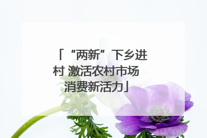 “两新”下乡进村 激活农村市场消费新活力