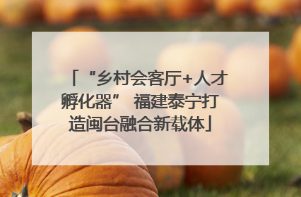 “乡村会客厅+人才孵化器” 福建泰宁打造闽台融合新载体