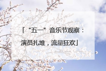 “五一”音乐节观察：演员扎堆，流量狂欢