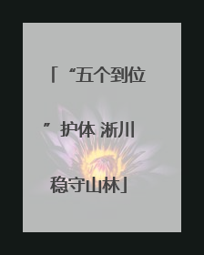 “五个到位”护体 淅川稳守山林