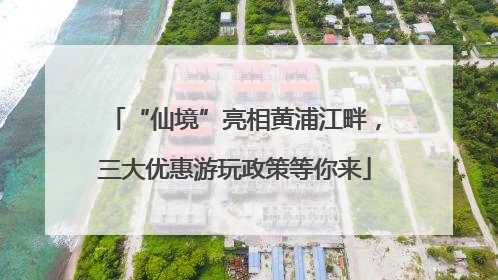 “仙境”亮相黄浦江畔，三大优惠游玩政策等你来
