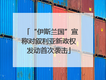 “伊斯兰国”宣称对叙利亚新政权发动首次袭击