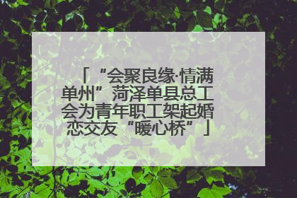 “会聚良缘·情满单州”菏泽单县总工会为青年职工架起婚恋交友“暖心桥”