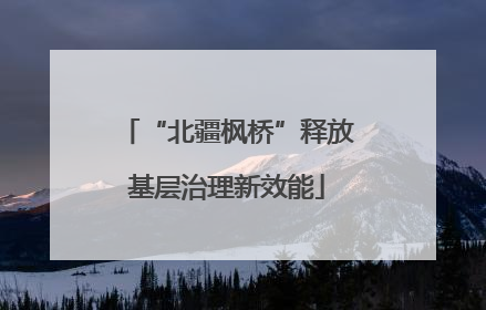 “北疆枫桥”释放基层治理新效能