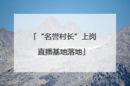 “名誉村长”上岗 直播基地落地