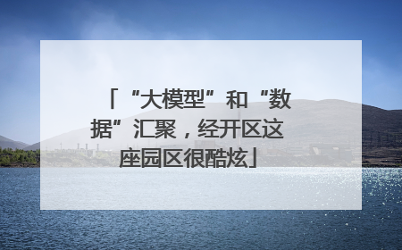 “大模型”和“数据”汇聚，经开区这座园区很酷炫