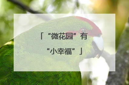 “微花园”有“小幸福”