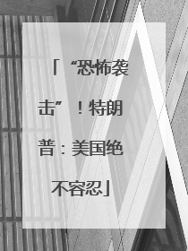“恐怖袭击”！特朗普：美国绝不容忍