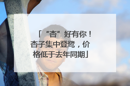 “杏”好有你！杏子集中登鹭，价格低于去年同期