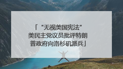 “无视美国宪法” 美民主党议员批评特朗普政府向洛杉矶派兵
