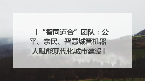 “智同道合”团队：公平、亲民、智慧城管机器人赋能现代化城市建设