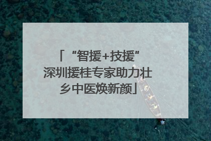 “智援+技援” 深圳援桂专家助力壮乡中医焕新颜