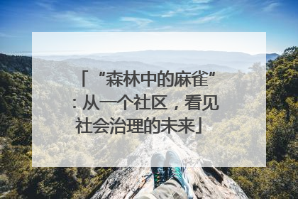 “森林中的麻雀”：从一个社区，看见社会治理的未来