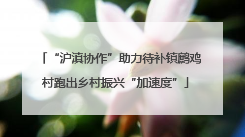 “沪滇协作”助力待补镇鹧鸡村跑出乡村振兴“加速度”