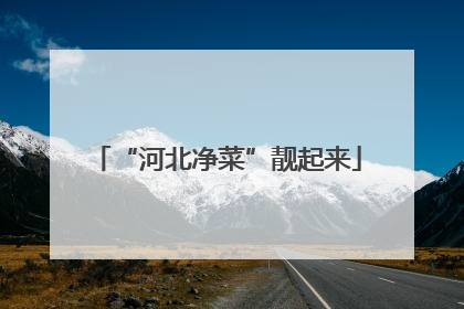 “河北净菜”靓起来