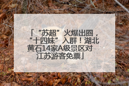 “苏超”火爆出圈，“十四妹”入群！湖北黄石14家A级景区对江苏游客免票