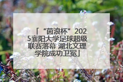 “茵浪杯”2025襄阳大学足球超级联赛落幕 湖北文理学院成功卫冕