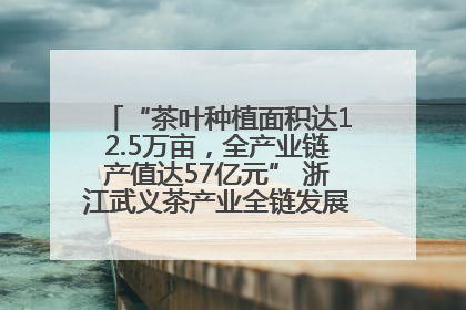 “茶叶种植面积达12.5万亩，全产业链产值达57亿元” 浙江武义茶产业全链发展“加速度”