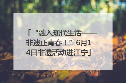 “融入现代生活——非遗正青春！”6月14日非遗活动进江宁