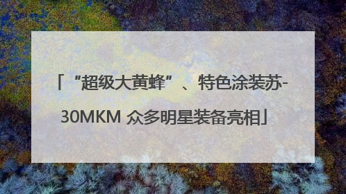 “超级大黄蜂”、特色涂装苏-30MKM 众多明星装备亮相