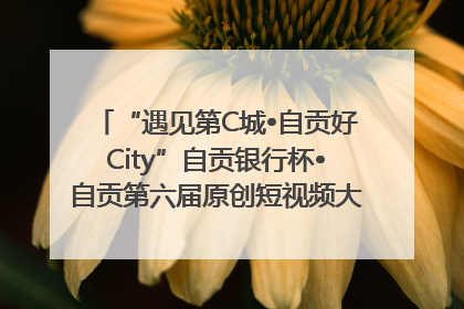 “遇见第C城•自贡好City”自贡银行杯•自贡第六届原创短视频大赛获奖名单出炉｜美好生活有“盐”味