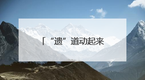 “遗”道动起来｜罗店龙船划呀划，共赴一场穿越数百年的端午之约