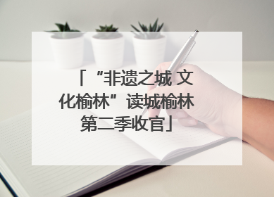 “非遗之城 文化榆林”读城榆林第二季收官