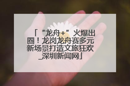 “龙舟+”火爆出圈！龙岗龙舟赛多元新场景打造文旅狂欢_深圳新闻网