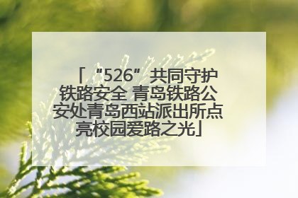 “526”共同守护铁路安全 青岛铁路公安处青岛西站派出所点亮校园爱路之光