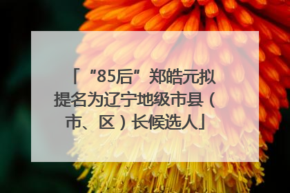 “85后”郑皓元拟提名为辽宁地级市县（市、区）长候选人
