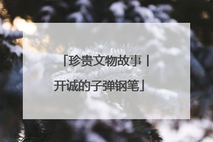珍贵文物故事丨开诚的子弹钢笔