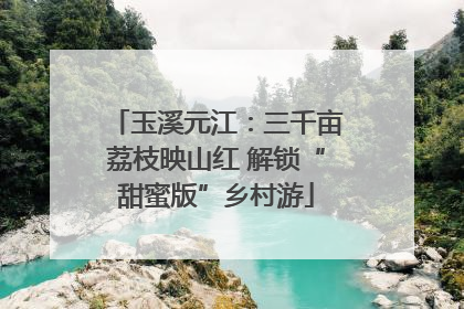 玉溪元江：三千亩荔枝映山红 解锁“甜蜜版”乡村游