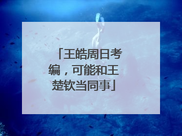 王皓周日考编，可能和王楚钦当同事