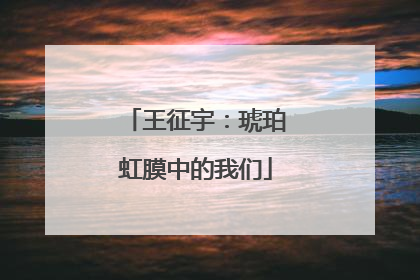 王征宇：琥珀虹膜中的我们